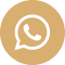 Ícone whatsapp
