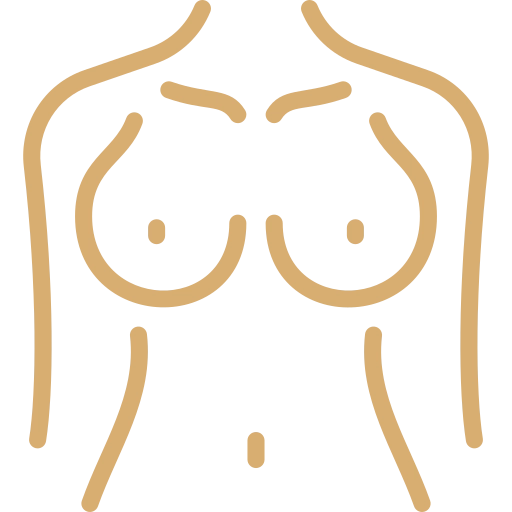 ícone do serviço Mamoplastia Redutora